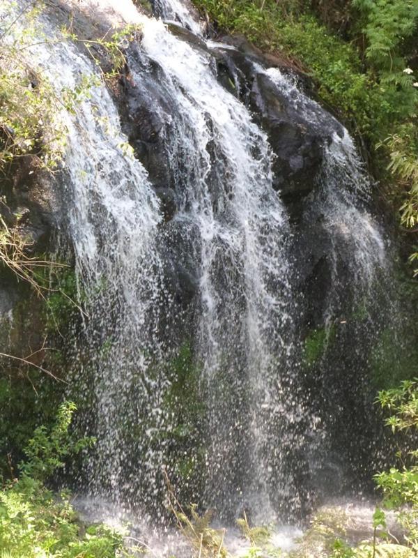 Casarao Da Cascata Villa Gramado Kültér fotó