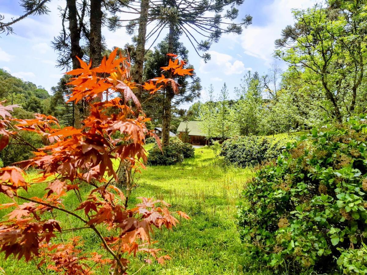 Casarao Da Cascata Villa Gramado Kültér fotó