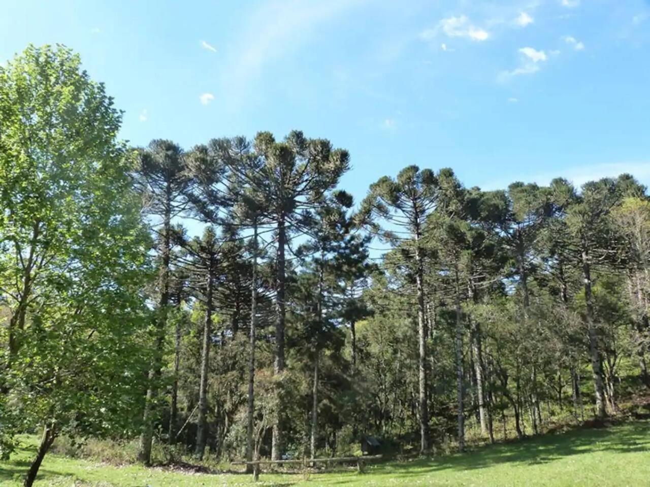 Casarao Da Cascata Villa Gramado Kültér fotó